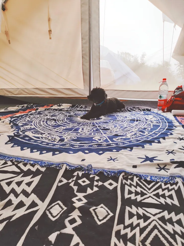 露營最舒服的可能就是點點