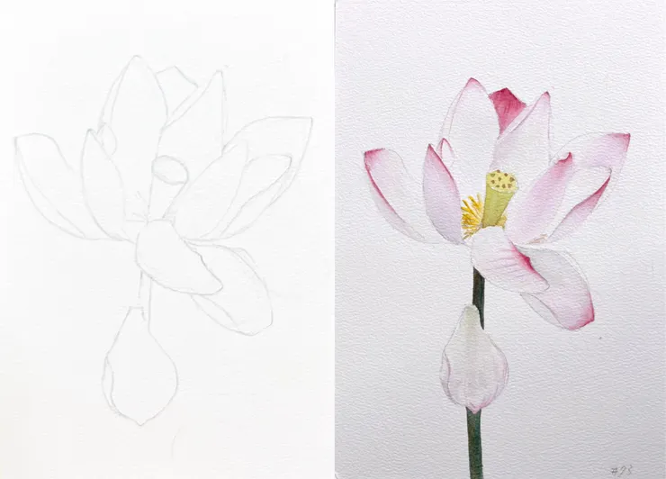 YH.CC＠水彩練習W73, 26x18cm, OCT2024 (構圖參考網路攝影)