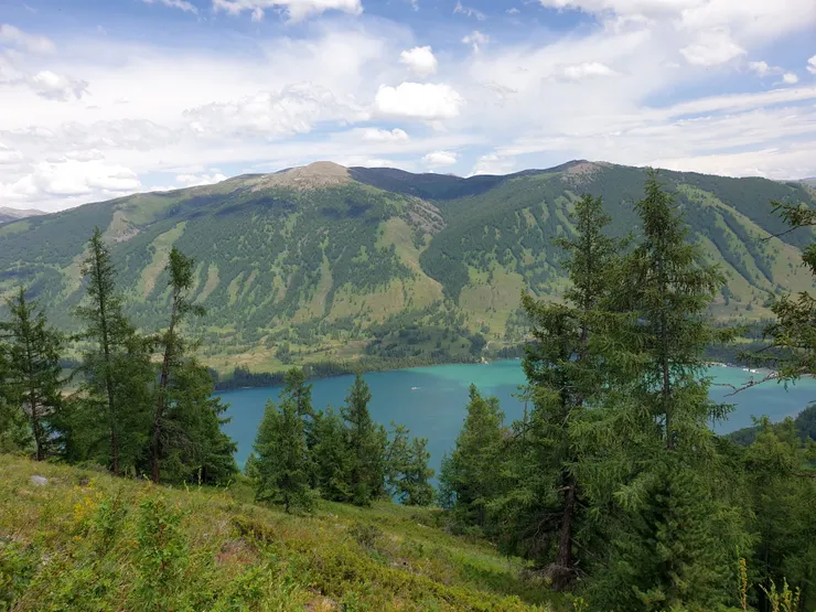 在觀魚亭可俯瞰喀納斯湖全貌與森林景觀