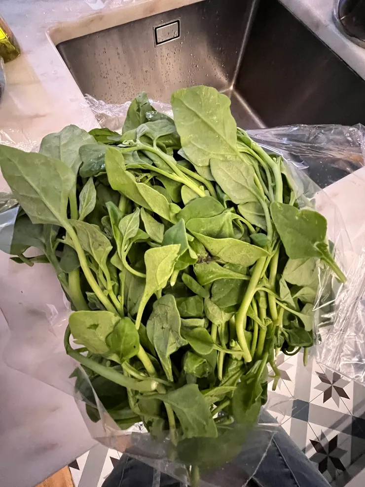 不知名的青菜,口感像台灣番薯葉。