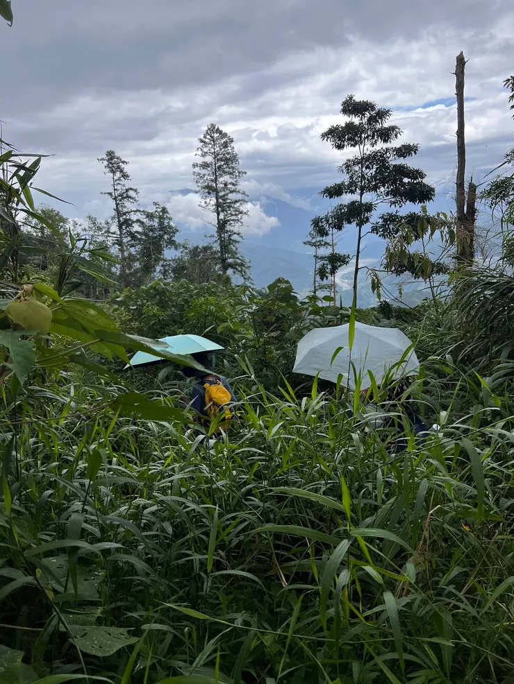 飄雨了