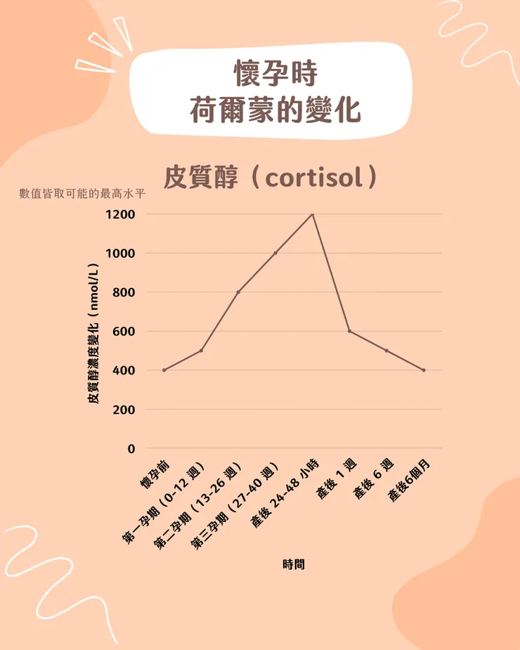 皮質醇在產期的變化
