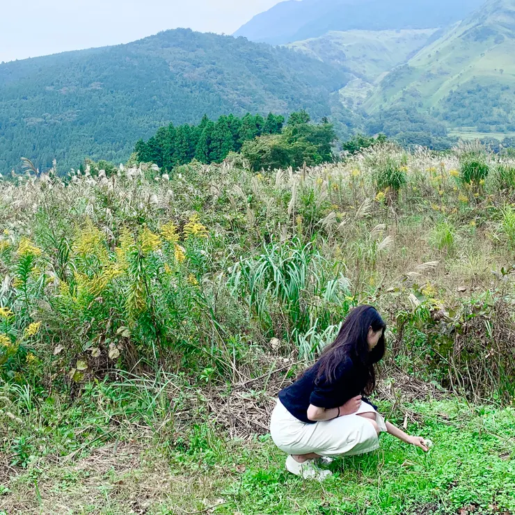 其實我很怕草地，但我時不時還是想試試「會不會突然不怕了？」