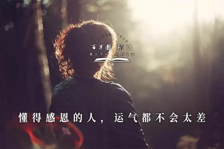 網路截圖
