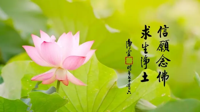 一向專念 阿彌陀佛 求生淨土