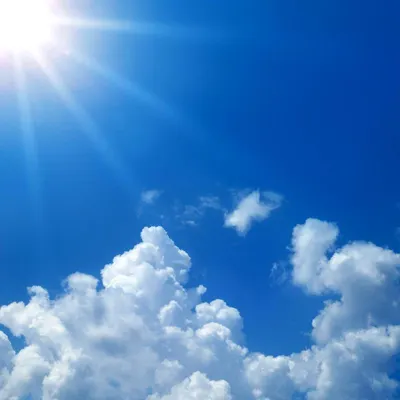 雪禪淨默的沙龍