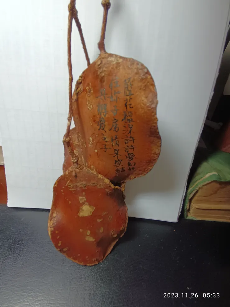 藍花楹果實採青後自然風乾，色澤似皮革，可寫畫等做成各種不同的飾物，見過巨飾風鈴；知道者漸多已有販售