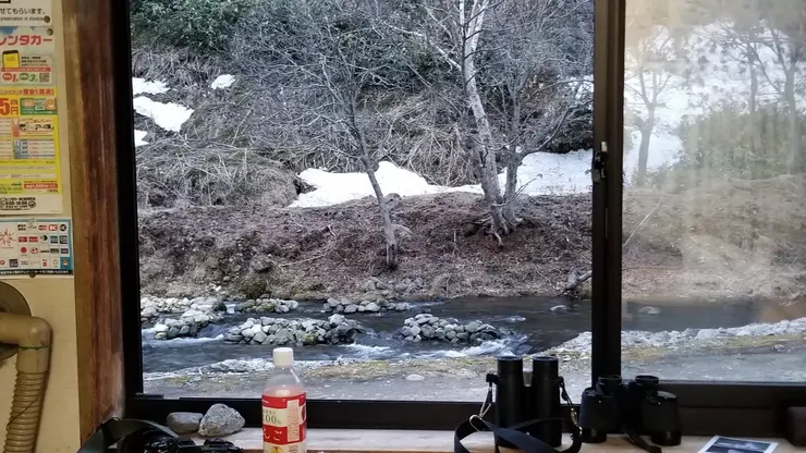 設備齊全的觀鳥屋