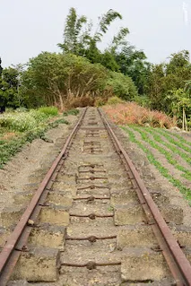前方是樹林中即為旱知溪橋-往大林方向拍