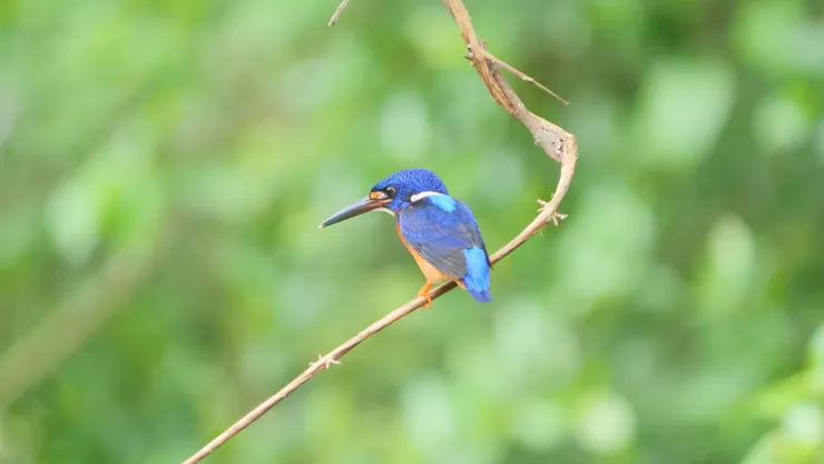 總是眉頭深鎖的樣子