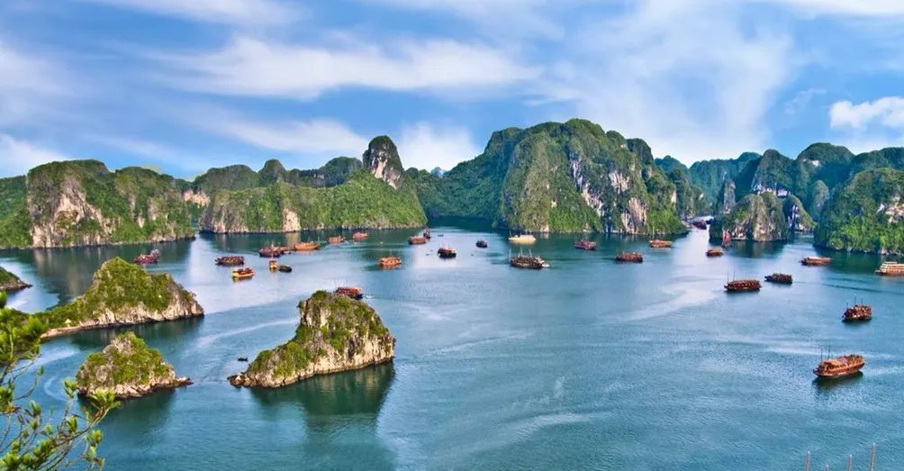  旅行達人 蜻蜓哥