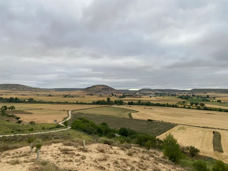 黃澄澄看不見海的內陸。