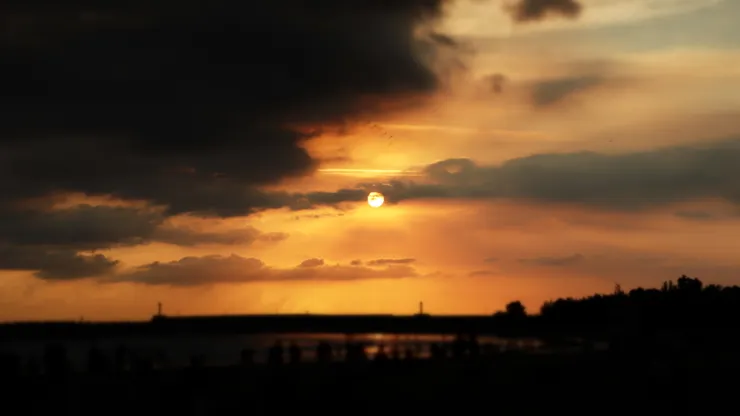 於台南漁光島 (友人提供)