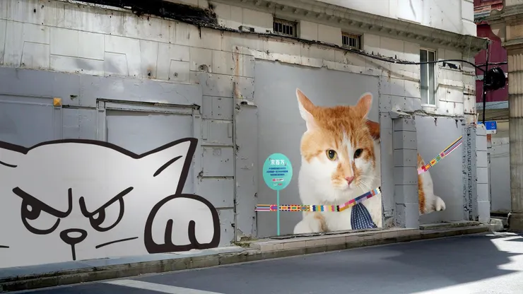 貓街，上海