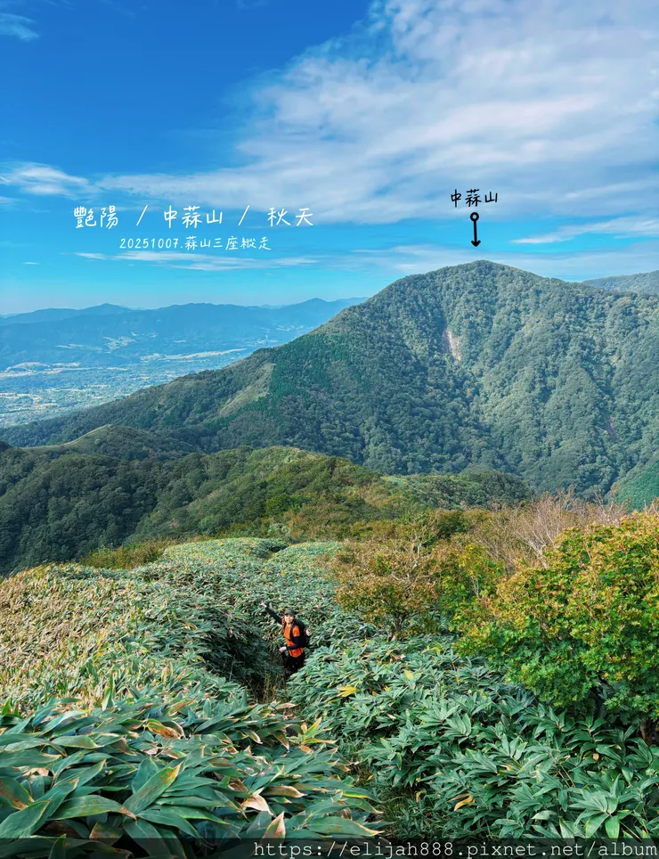 【2025初秋.岡山県真庭市】蒜山三座縱走/下蒜山(海拔11