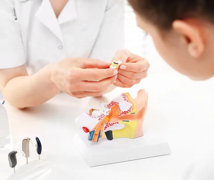 助聽器補助 2024助聽器補助