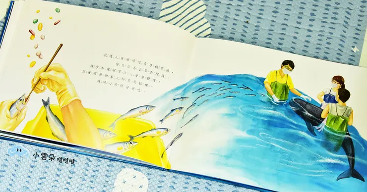 把藥塞進柳葉魚餵食鯨豚