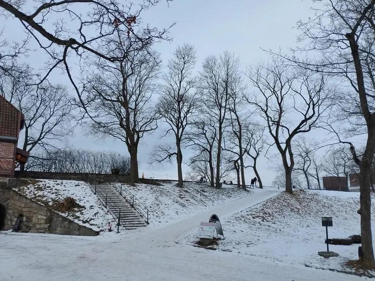 攝於挪威奧斯陸