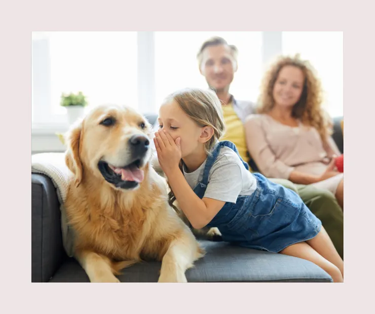 狗狗.毛小孩.寵物.過敏.氣喘.慢性病