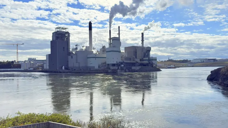 造紙業是聖約翰市重要工業支柱