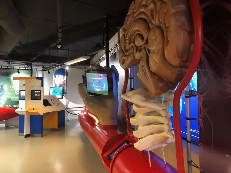 圖片來源:commons.wikimedia.org網站