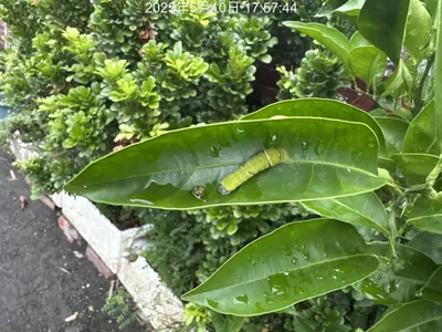 告別2024年迎接2025年。