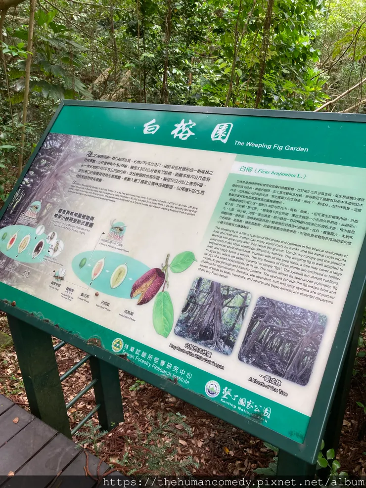 [ 美食景點 ] 2024恆春五大私房景點｜海景、山景、咖啡