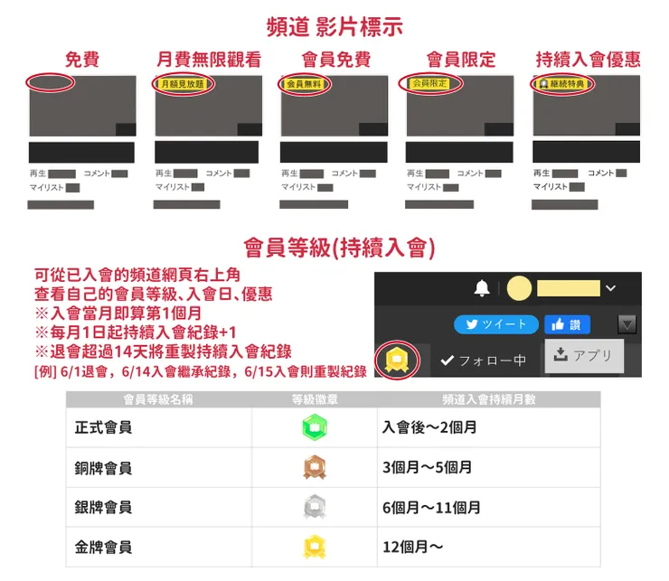 頻道 影片標示 大圖