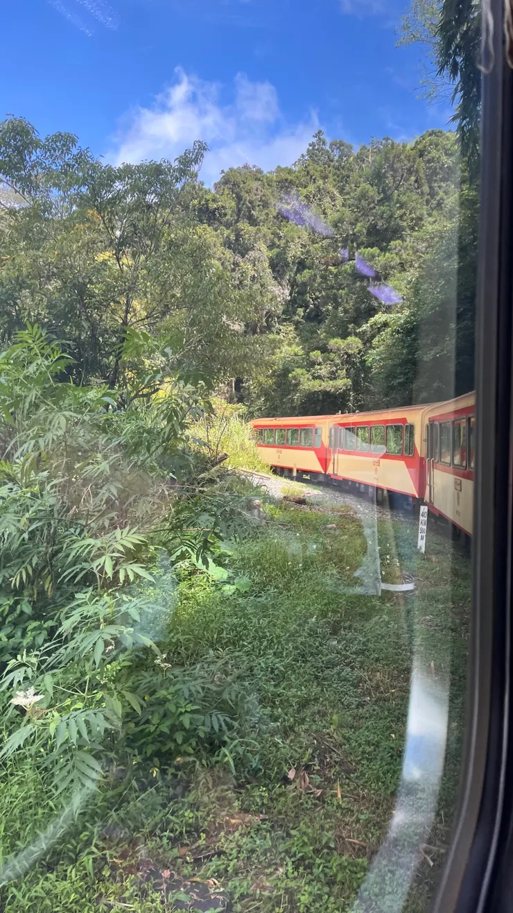 阿里山林業鐵路