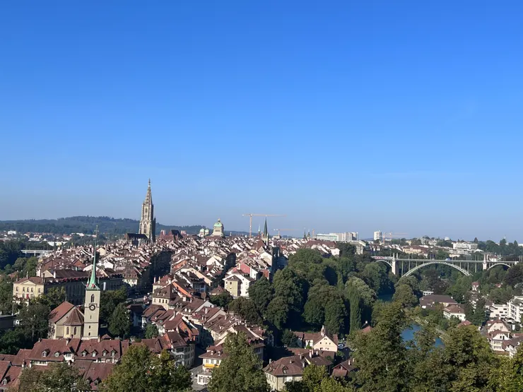 值得走上來的玫瑰園