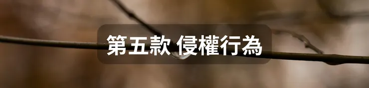 第五款 侵權行為