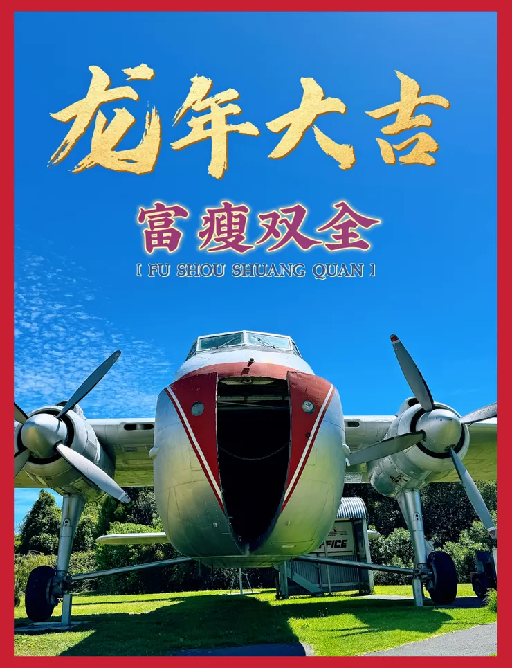 我們家這兒公園裡的大飛機