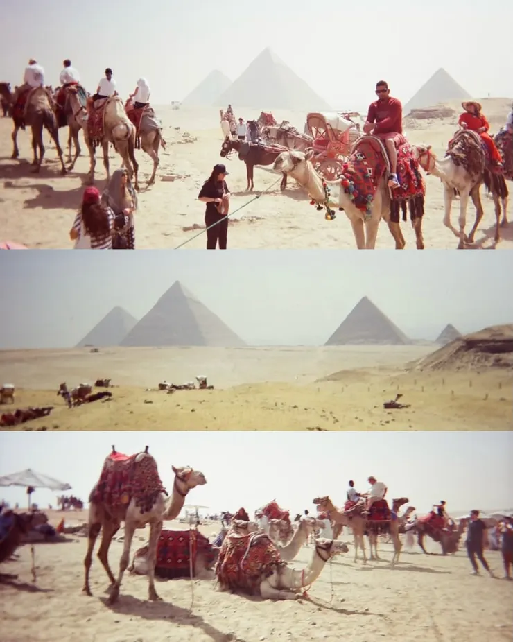 彩色 KODAK 250D 5207 ISO 200