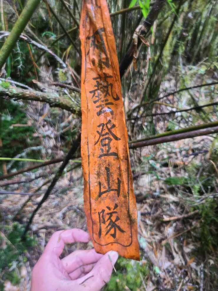 難走的地方，會看到柯藝路條