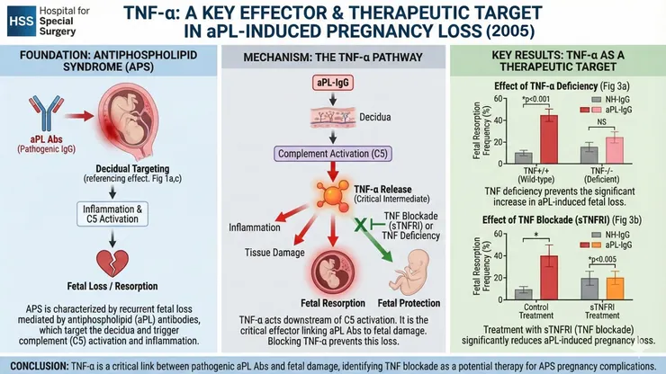 Berman et al., J Immunol., 2005