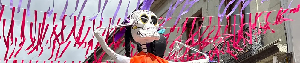 野外採集｜Adventure of my life 