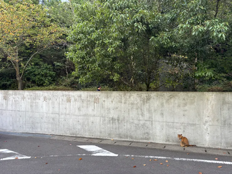 瀨戶內藝術祭｜ 直島｜地中美術館（沒約到）