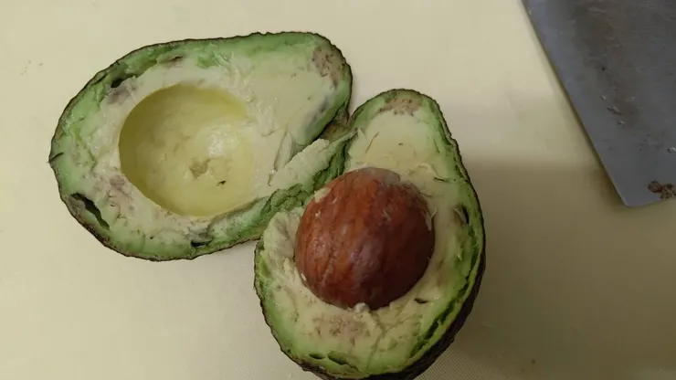 當時太失望了所以沒有拍，但大概半邊長這樣。