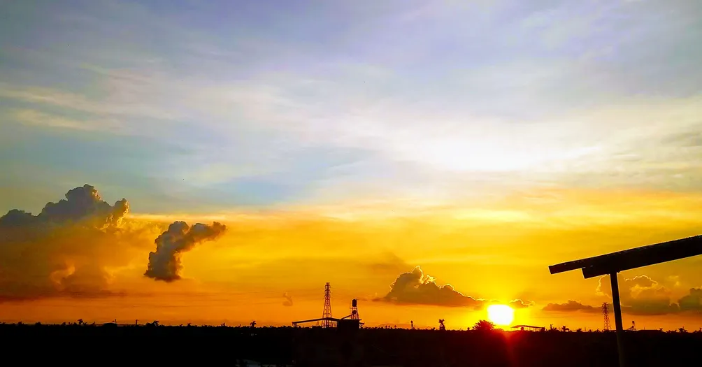 一隻會彈琴的貓的沙龍