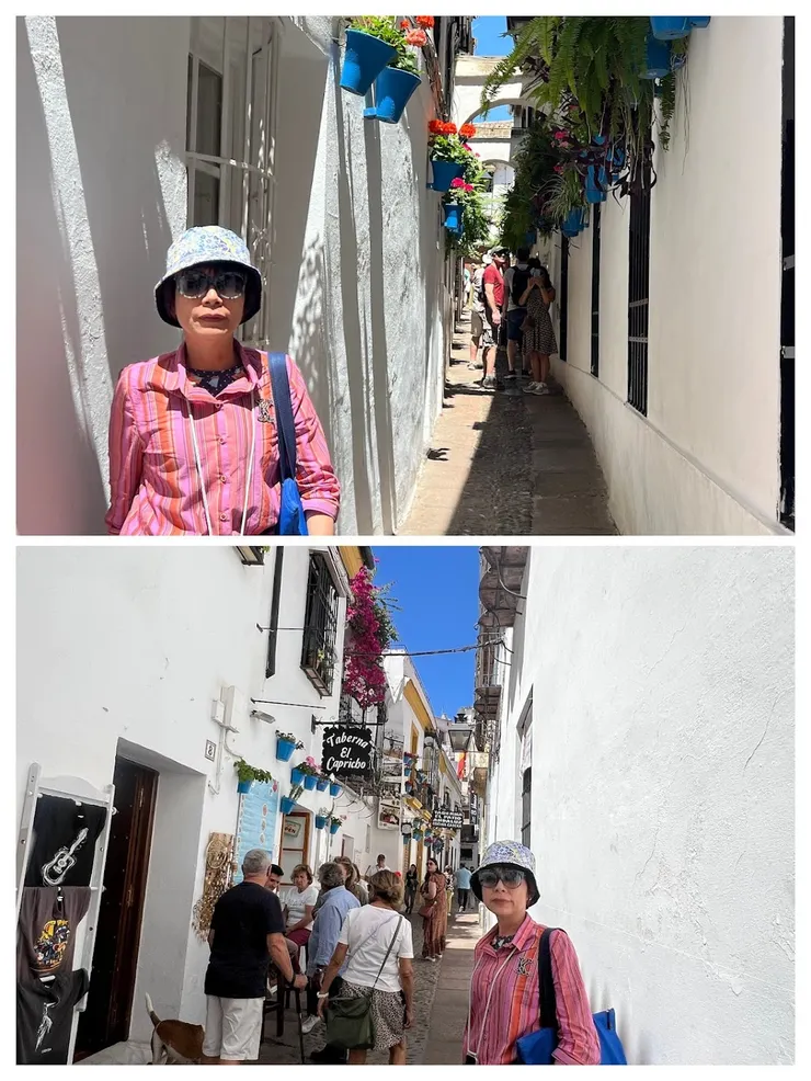 不是百花巷也很漂亮