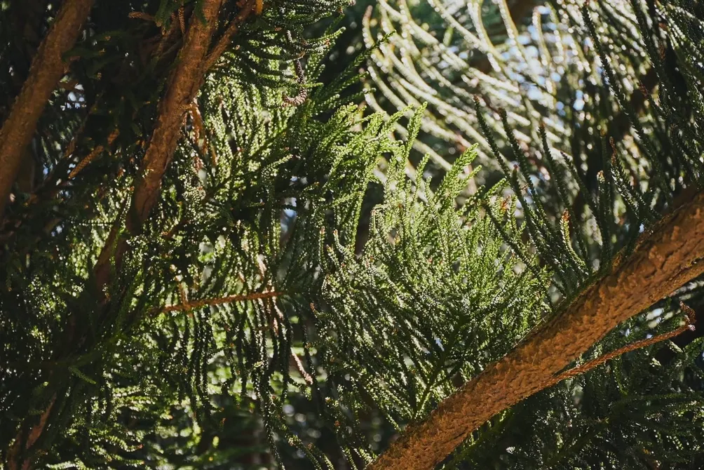 心跳 65 次｜整理心境時的頻率