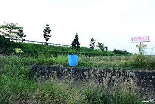 土堤旁有一條圳溝-往過溝方向拍&nbsp;