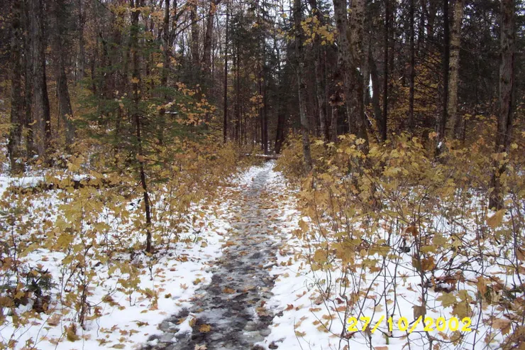 十月的雪就很多了 