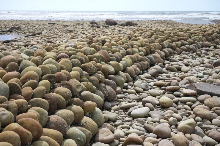 桃園新屋深圳石滬一景