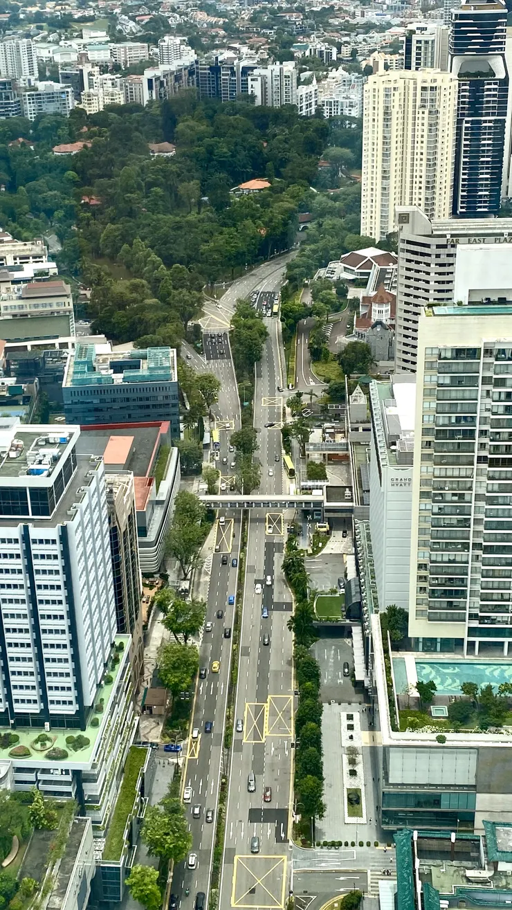 從ION Sky 觀看史各士路(Scotts Rd)