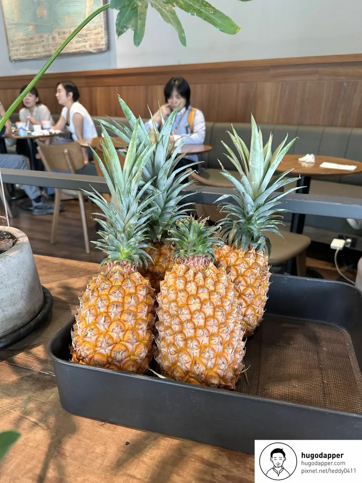 南港 Coppii Lumii living coffee 