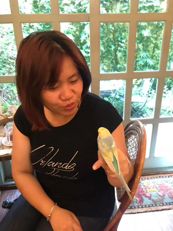 看起來很像我跟小鳥在對話