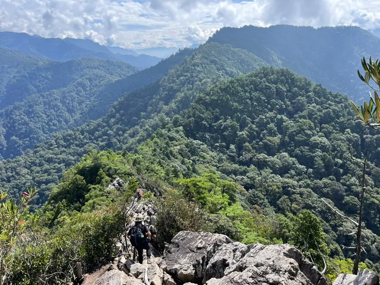 鳶嘴山下坡路段