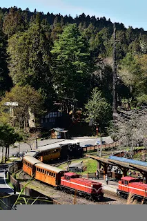 集材柱是經典的林業風景