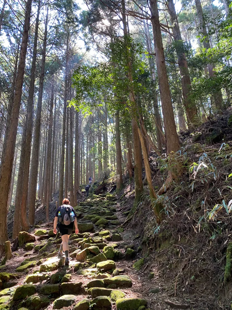 大家完全不用停下來喝水，也不會喘。好厲害.....